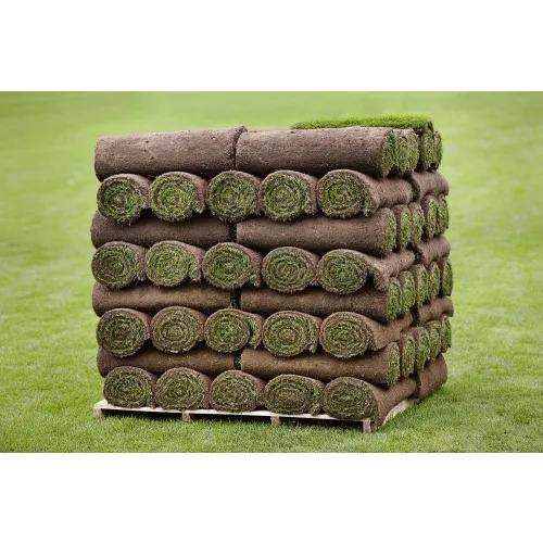 Trawa w rolce 140 m2 - dostawa kurierem z windą wliczona w cenę