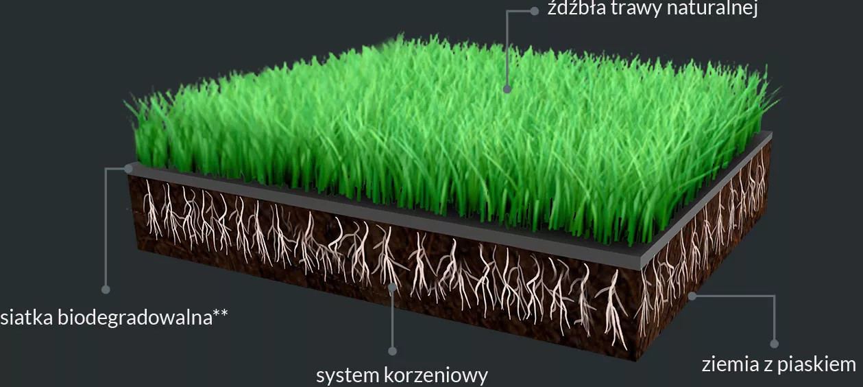 Intensive Sport - przekrój budowy systemu