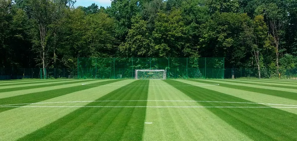 Trawa sportowa - boisko piłkarskie